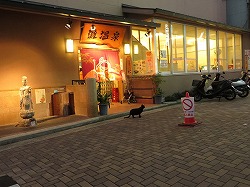 黒猫